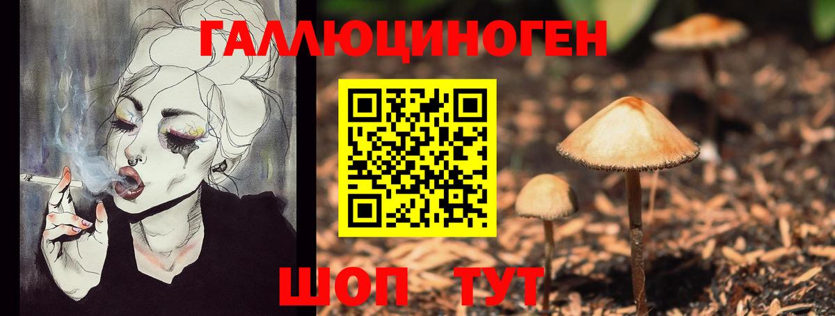 Зерноград  Псилоцибиновые грибы GOLDEN TEACHER  Вход с VPN 